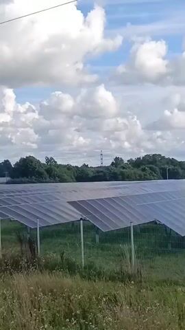 The video shows a large solar panel farm under a cloudy sky. Rows of solar panels are visible, angled upwards and extending into the distance. A metal fence runs in front of the panels, separating them from a grassy area with dry plants. In the background, trees form a treeline, and some power lines or transmission towers can be seen on the horizon. The lighting suggests it is daytime, possibly afternoon.