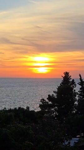 The video shows a sunset over the sea. The sky is a mix of orange, yellow, and light blue. The sun is setting directly over the water, creating a bright glare. There are some wispy clouds in the sky. The sea is a dark color with a few ripples on the surface. In the foreground, there is a tree and some shrubbery. A bird flies across the top of the frame. Later, the contrail from a plane appears. There is some speech in the background.