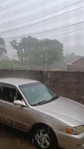 The video shows a silver station wagon parked outdoors during a heavy rainstorm. The rain is visible as streaks falling from the sky, hitting the car and the ground. A brick wall runs horizontally across the middle of the frame, behind the car. In the background, trees and some buildings are visible through the rain, suggesting a residential or rural setting. Overhead power lines are also present. The lighting is overcast and dim, characteristic of a stormy day.