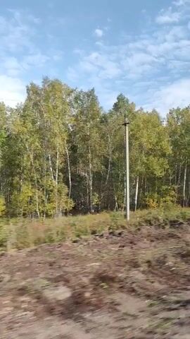 The video shows a side view from a moving vehicle traveling on a dirt road with trees in the background. The trees are a mix of green and yellow, indicating it might be autumn. The sky is blue with some white clouds. A utility pole is visible on the left side of the frame. Towards the end of the video, a white vehicle passes by, partially obscuring the view of the trees and sky.