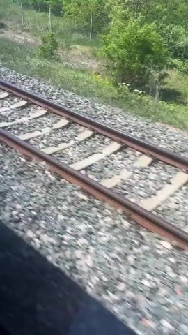 The video shows a view from a moving train, looking out at the railroad tracks and the surrounding vegetation. The tracks are made of dark brown rails with light gray gravel in between. The vegetation consists of green trees and bushes, some with white flowers, situated on the other side of the tracks. The camera is focused on the tracks as they pass by, creating a sense of forward motion. A dark shadow is visible in the bottom left corner of the frame, possibly part of the train itself. The lighting indicates it is daytime.