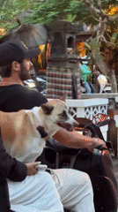 Motorcycle riders with dog, selfie-taker spotted in Kuta Selatan