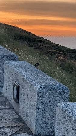 Sunset tourism and wildlife activity at Tower of Hercules, A Coruña