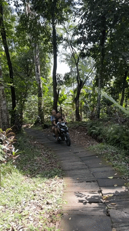 Late-night moped journey through forest path in Indonesia