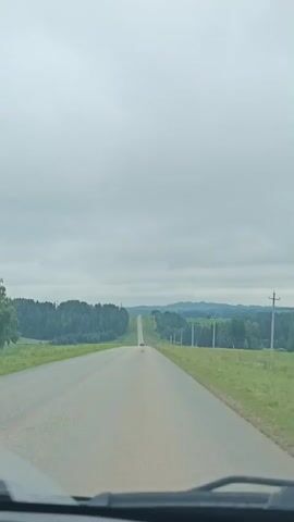 The video shows a view from inside a vehicle traveling on a two-lane asphalt road. The road stretches into the distance, disappearing over a hill. On either side of the road are green fields and scattered trees. In the distance, there is a line of trees and rolling hills under a cloudy sky. There are utility poles along the side of the road. A small dark-colored vehicle is visible on the road ahead, also heading towards the hill.