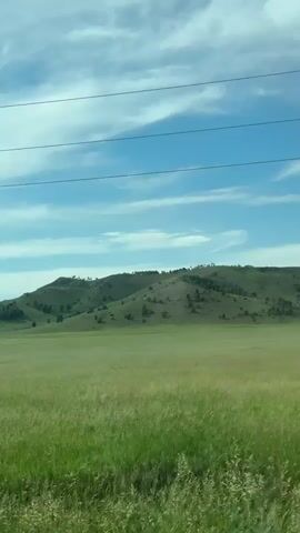 A video captures a landscape view from a vehicle moving through a grassy plain with rolling hills in the distance. The sky is blue with scattered white clouds. Power lines are visible across the top of the frame. The foreground consists of tall green grass, and the middle ground features a wide, open field. The background shows undulating hills dotted with scattered trees. The camera perspective suggests the video is shot from a moving vehicle.