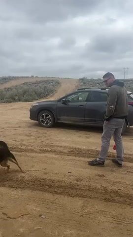 A man in a dark green jacket, light gray pants, and dark shoes stands facing right on a dirt road. He wears sunglasses and a dark cap under his jacket hood. He holds a red object, possibly a dog toy or part of a leash, in his right hand, which is resting at his side. A dark gray Subaru Outback is parked behind him, slightly to his left, facing away from the viewer.

The setting is a rural or wilderness area with a wide, unpaved dirt road taking up the foreground. The road shows tire tracks and is surrounded by dry, low-lying vegetation. In the background, rolling hills covered in similar dry vegetation stretch into the distance under a heavily overcast, cloudy sky. Power lines are visible on a distant hill to the right. The overall impression is an open, somewhat desolate landscape on an overcast day. No other people or animals are visible, though the red object suggests a dog might be nearby or just out of frame.