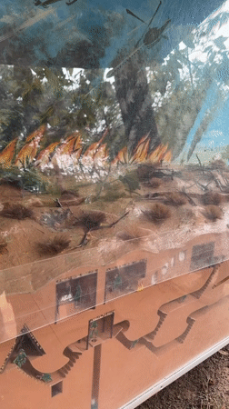 Tourists tour Cu Chi Tunnels historical site near Ho Chi Minh City