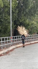 Person carries palm fronds across bridge in Thailand