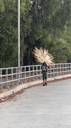 Person carries palm fronds across bridge in Thailand