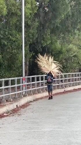 Person carries palm fronds across bridge in Thailand