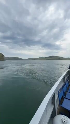 A video captures a scenic view of a body of water with rolling green hills in the background under a cloudy sky. The camera appears to be on a boat, as the railing and some blue seats are visible in the foreground. Several seagulls fly across the frame, some close to the water's surface and others higher in the air. The water is dark green with visible ripples and waves, suggesting movement. The overall impression is one of a tranquil natural landscape viewed from the water.