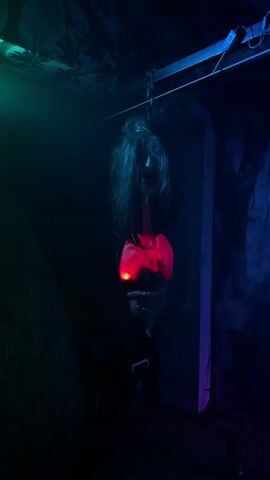 The video shows a disturbing Halloween decoration of a severed head with internal organs displayed. The head is hanging by its hair and has a grotesque facial expression. The organs, including lungs and intestines, are illuminated with a red light, creating a horrifying effect. The background is dark and dimly lit, with green and purple lighting adding to the spooky atmosphere. There is a pile of straw or hay on the left side of the frame and a wall with a jungle-themed print on the right. The overall scene is designed to be frightening and unsettling.