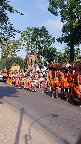 A group of people in traditional attire are walking in a parade down a paved road. The individuals in the foreground are wearing feathered headdresses and brightly colored skirts, while those further back have more elaborate costumes with metallic embellishments and headdresses adorned with peacock feathers. A decorated float, possibly a truck, is visible in the background. The surroundings appear to be rural, with trees and foliage lining the road. The sky is clear and blue, suggesting a sunny day. The people are walking in an organized procession, and the overall atmosphere seems festive.