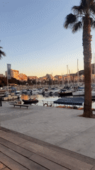 Sunset marina scene documented by witnesses in Alicante harbor