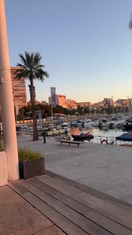The video pans from left to right, showcasing a harbor scene at sunrise or sunset. Several sailboats are docked, masts reaching towards the sky.  A small motorized dinghy floats in the water.  Buildings dot the shoreline in the background, and a hill is visible beyond the marina.  Palm trees frame the edges of the shot. A tiled walkway and wooden platform are in the foreground, featuring a bench and some greenery. The sky is a gradient of blue and orange, reflecting off the water.