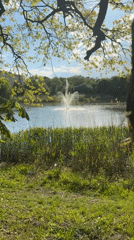 Fountain operates in sunlit pond in Kaliningrad