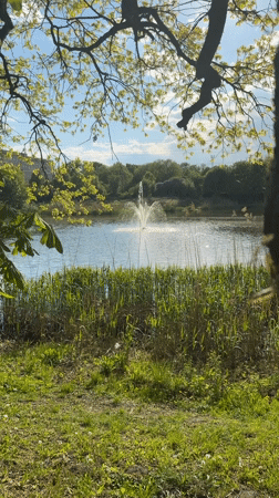 Fountain operates in sunlit pond in Kaliningrad
