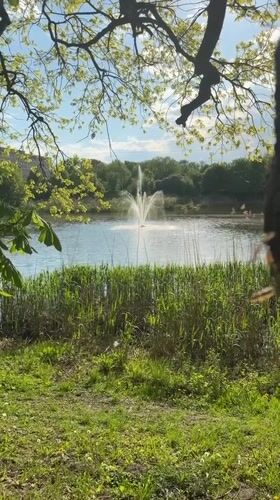 Fountain operates in sunlit pond in Kaliningrad