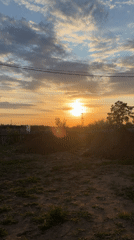 Outdoor gathering with cooking and socializing in rural Chaikovsky