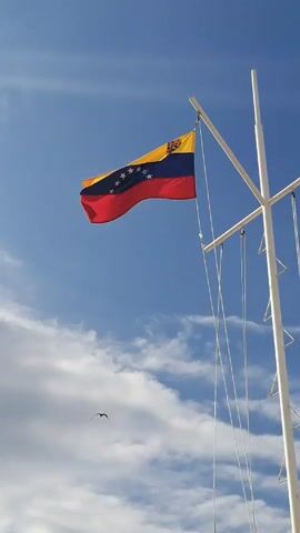 The video shows the Venezuelan flag waving in the wind on a white flagpole against a blue sky with scattered clouds. A bird flies across the frame. The flag has horizontal stripes of yellow, blue, and red, with eight white stars in a semi-circle on the blue stripe, and the national coat of arms in the upper left corner of the yellow stripe. The flagpole has several support structures and hanging ropes.
