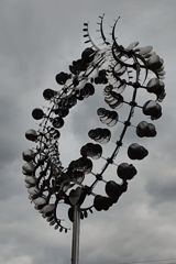 Morning dew patterns documented on grass, clover, kinetic sculpture
