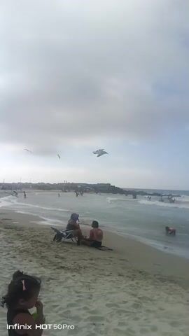 The video shows a busy beach with several people. In the foreground, a young child with dark hair in pigtails is visible, facing away from the camera and looking to the left. Behind the child, two people are sitting on beach chairs, facing the water. The beach is sandy, and the ocean has moderate waves. Further out, more people are in the water and on the beach. Seagulls are seen flying overhead and near the water. The sky is partly cloudy.