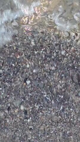 The video shows a close-up view of clear water flowing over a rocky, pebbled streambed. The sunlight creates shimmering patterns on the water's surface, and the movement of the water distorts the view of the rocks below. Small dark shapes, possibly fish, are occasionally visible swimming in the water. The overall impression is one of natural, undisturbed aquatic environment.