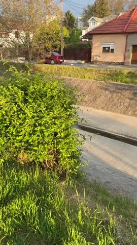 The camera pans up from a close-up of green bushes and grass, to reveal a residential street on a sunny day with a few clouds in the sky. A narrow concrete canal runs along the side of the road, separating it from a row of houses with orange tile roofs. Several cars are parked along the street, and a couple of people can be seen walking in the distance. The overall impression is of a peaceful, quiet neighborhood.
