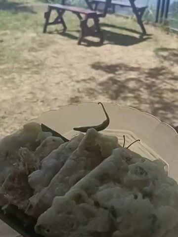 The video begins with a close-up of a plate of food, possibly fried tempeh and chilies, in the foreground. The camera then pans out to reveal a picnic table and bench set on a grassy slope. In the background, a large mountain is visible against a bright sky with scattered clouds. The overall setting appears to be an outdoor dining area with a scenic view.