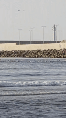 Open water triathlon event on the Castelló de la Plana coastline