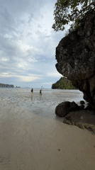 Crab watching on tidal flats at Ban Klong Haeng