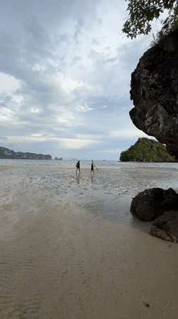Crab watching on tidal flats at Ban Klong Haeng