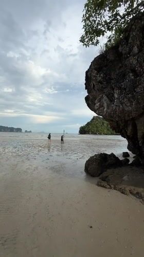 Crab watching on tidal flats at Ban Klong Haeng