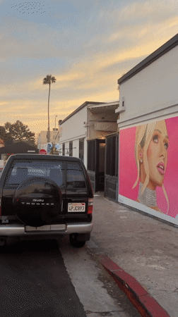Murals, traffic, and palm trees along a coastal LA block