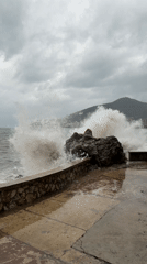 Rough seas and spring blooms observed in Budva waterfront