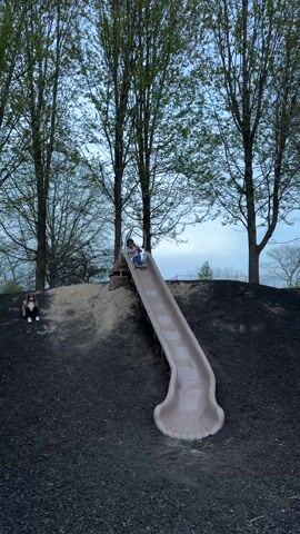 A young girl slides down a tan-colored slide on a playground. The playground is built into a small hill covered in black mulch. Several tall, thin trees are in the background, and another child is sitting on the ground to the left of the slide. The sky is overcast. The girl smiles and has her arms outstretched as she reaches the bottom of the slide.