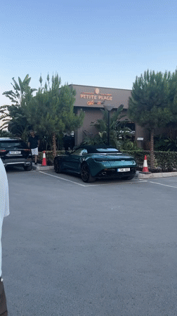 Green Aston Martin and lounging cats outside Petite Plage, Cyprus