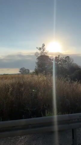 A handheld video pans across a rural landscape at sunrise or sunset. The sun, low in the sky, shines brightly with visible lens flare. Tall grass and trees with lush green foliage are visible. In the distance, a haze or smoke can be seen, possibly indicating a fire. A metal guardrail is in the foreground, suggesting the video was taken from a vehicle moving along a road. The overall impression is of a serene, natural environment tinged with a hint of potential danger from the distant smoke.