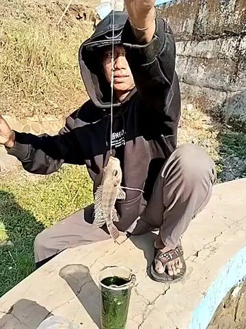 A young person wearing a black hooded sweatshirt and grey pants is sitting on a concrete ledge, fishing. They are holding a fishing rod in their left hand and a caught fish is dangling from the fishing line in front of them. To the person's right, on the concrete ledge, is a clear plastic cup filled with a dark green liquid, and another clear plastic cup with a light brown liquid and a straw. To the person's left, on the ground, is a black trash bag and a white plastic bag containing what appears to be food or snacks. The background shows a grassy slope with some rocks and a wall. The lighting suggests it is daytime. The person appears to be looking towards the camera.