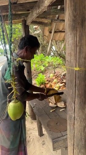 Man cuts coconut with knife in Kathaluwa, Sri Lanka