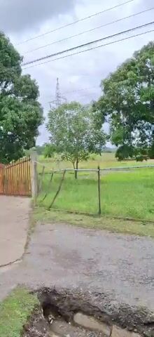 The video shows a view from a vehicle moving forward. On the left side of the screen, there is a large tree with dense green foliage. A metal fence runs horizontally across the middle of the frame, with a few vertical posts supporting it. Beyond the fence is a grassy field with some yellow flowers. On the right side, a gate with vertical wooden slats is visible, attached to a stone pillar. In the distance, there are more trees and a utility pole with wires. The sky is overcast. The road surface in the foreground appears to be dirt or gravel. The camera pans slightly to the right and then straightens, showing more of the field and trees. The vehicle appears to be moving along a road or path adjacent to the field.