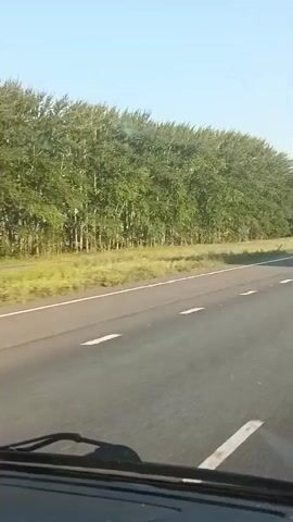 The video shows a view from inside a vehicle, looking out through the windshield onto a two-lane road. The road is paved and has white lane markings. On the left side of the road, there is a grassy shoulder and a line of tall green trees. On the right side of the road, there are more trees and a distant body of water. Two trucks are visible on the road. The first truck, a white box truck, is driving in the opposite direction. The second truck, a larger trailer truck, is driving in the same direction as the viewer. The sky is clear and blue. The time stamps indicate the video is very short, likely a few seconds long.
