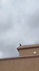 Morning moments captured in Ouaouizert, Morocco under overcast skies