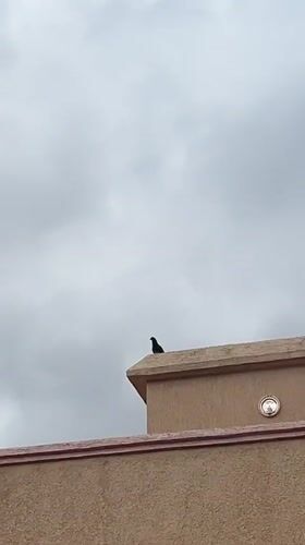 Morning moments captured in Ouaouizert, Morocco under overcast skies