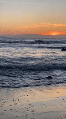 Filmmaker captures sunset scenes on Pomorie beach with dog companion