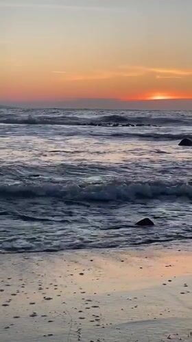 Filmmaker captures sunset scenes on Pomorie beach with dog companion