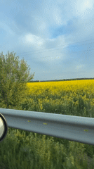 Motorist captures springtime drive through Bulgarian countryside at sunset