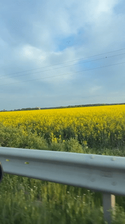 Motorist captures springtime drive through Bulgarian countryside at sunset