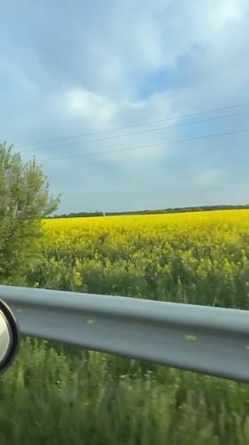 Motorist captures springtime drive through Bulgarian countryside at sunset